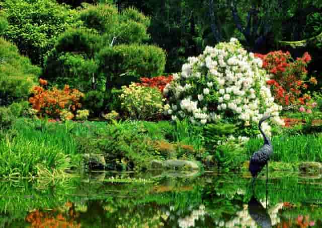 日本奥运会计划