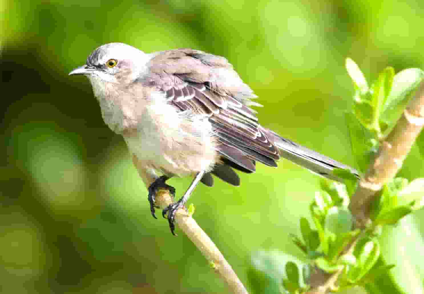 hp设置默认纸盒