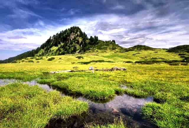 瑜伽能够自己练