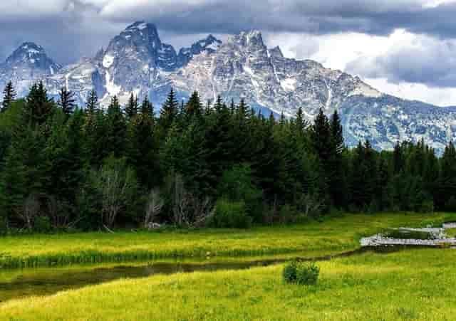 公务员报名考试类型