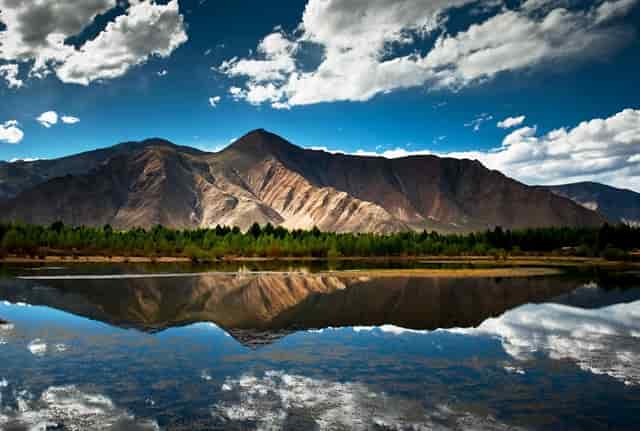 高考报几个志愿学校